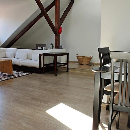 Attic With Parking, Near The Center Of Cb - 110M2 Leilighet Ceske Budejovice Eksteriør bilde