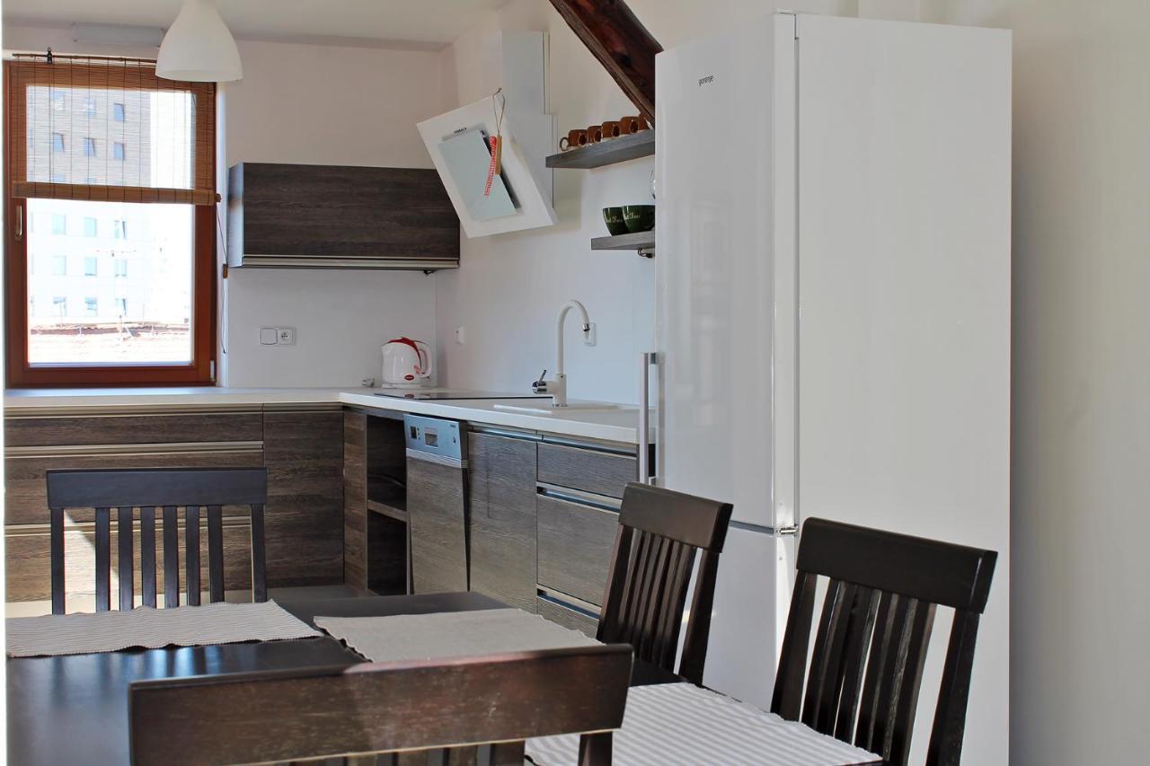 Attic With Parking, Near The Center Of Cb - 110M2 Leilighet Ceske Budejovice Eksteriør bilde