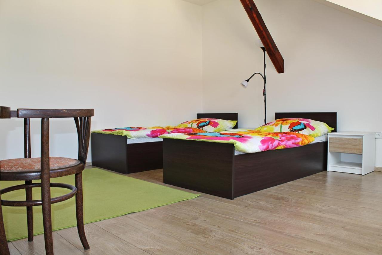 Attic With Parking, Near The Center Of Cb - 110M2 Leilighet Ceske Budejovice Eksteriør bilde